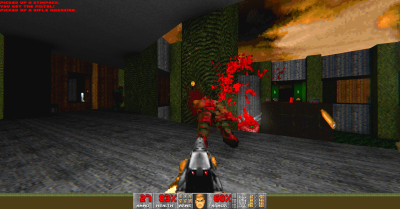 Brutal Voxel Doom Screenshot 3