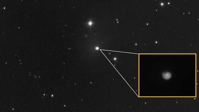 Космічний амоніт чому